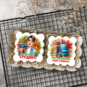 Набор имбирных пряников "Теперь ты студент" (брюнет) 