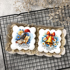 Набор имбирных пряников "Учителю истории"   