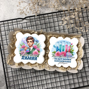 Набор имбирных пряников "Учителю химии"  (мужчине)