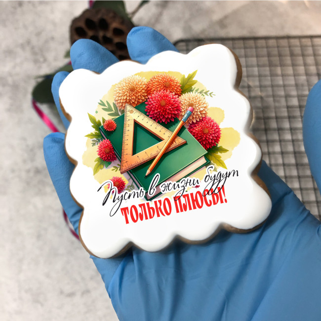 Набор имбирных пряников "Учителю алгебры и геометрии" (женщине)    