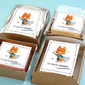 Торт-открытка "Супертренеру"