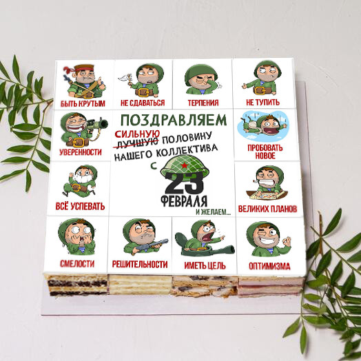 Торт-ассорти корпоративный, для мужчин на 23 февраля с пожеланиями 