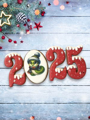 Набор имбирных пряников "2025", красный