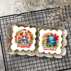 Набор имбирных пряников "Теперь ты студентка" (блондинка)