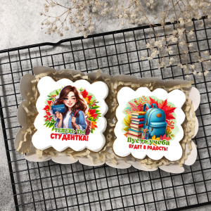 Набор имбирных пряников "Теперь ты студентка" (брюнетка) 