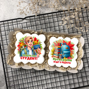 Набор имбирных пряников "Теперь ты студент" (блондин) 